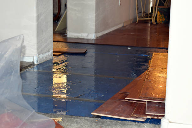 Professional Water Damage technician working in Peoria, IL